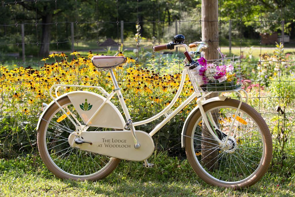 The Lodge At Woodloch Hawley Buitenkant foto